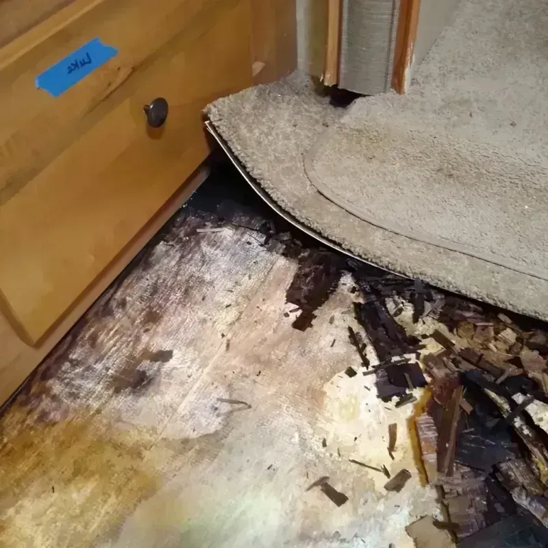 Best Wood Floor Water Damage Service in Chalfont, PA